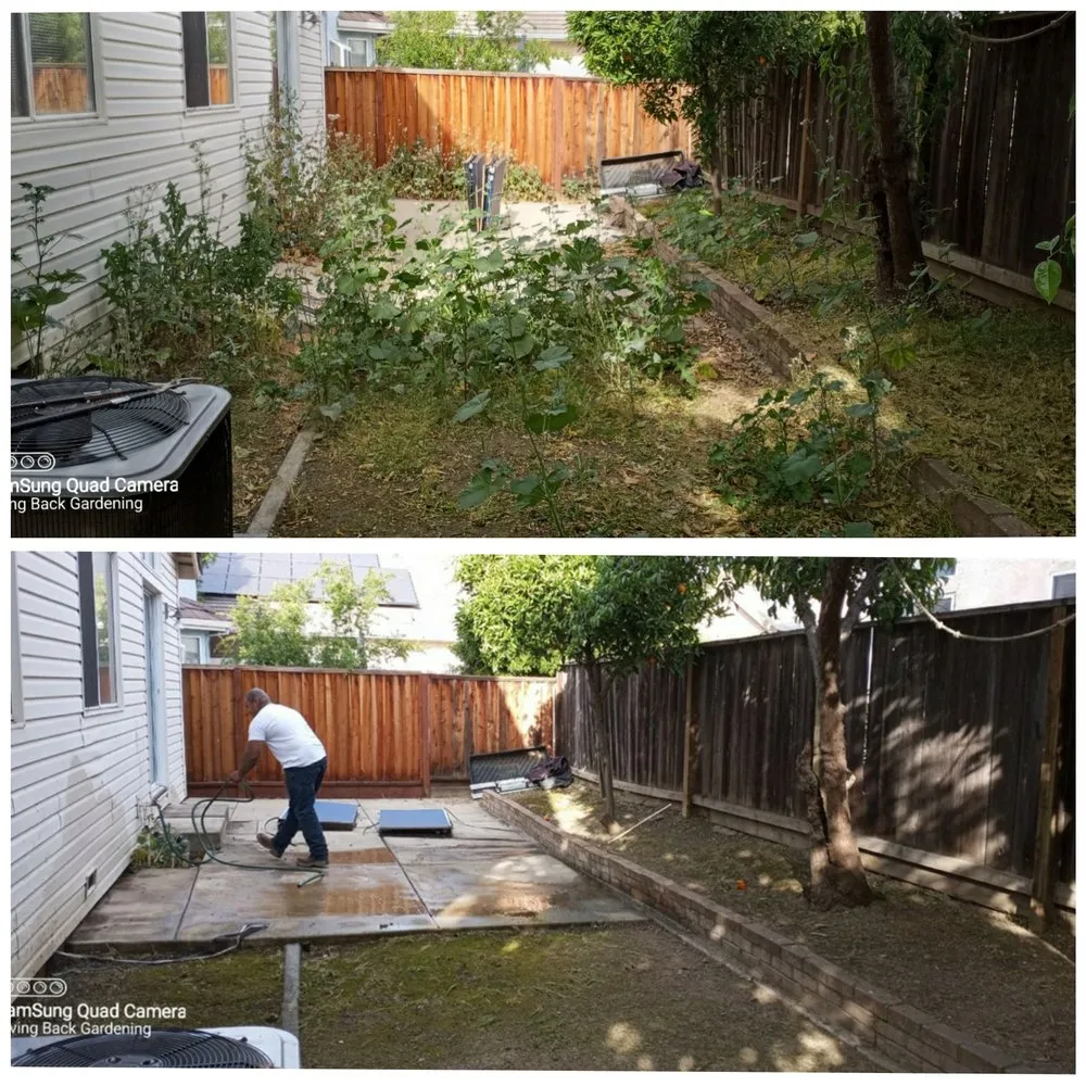 Expert garden landscaping in Tracy, CA - Giving Back Gardening