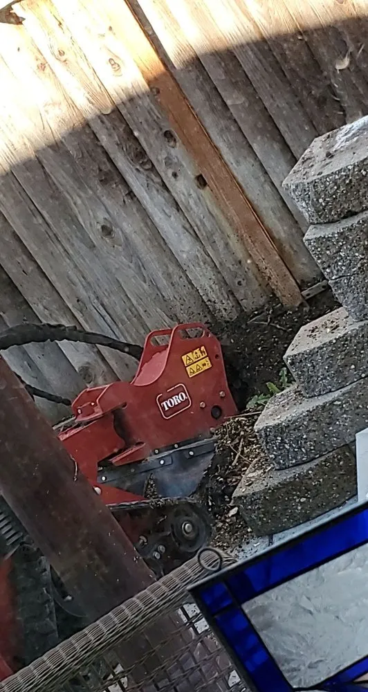 Affordable yard maintenance for homes across Tracy, CA - Giving Back Gardening