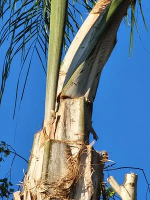 Giving Back Gardening Logo