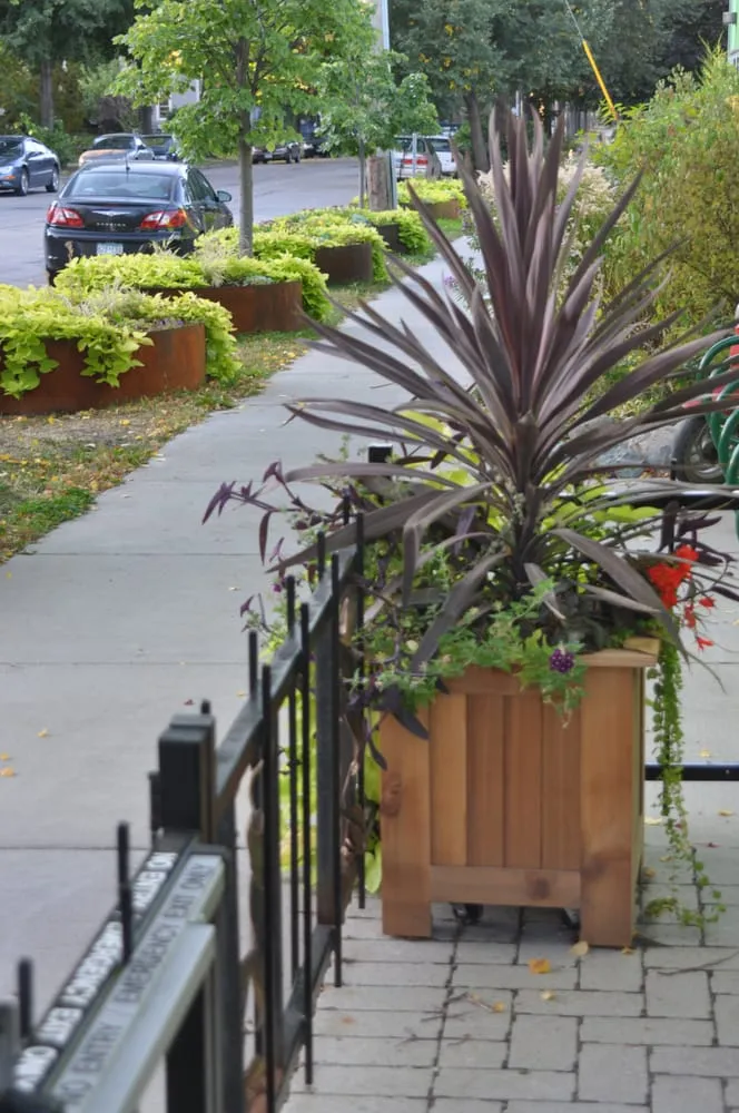 Custom residential landscaping in Minneapolis, MN by Giving Tree Gardens