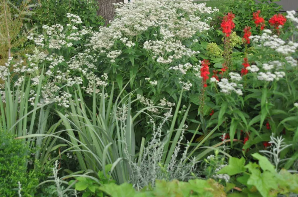 Expert lawn mowing service with custom design in Minneapolis, MN by Giving Tree Gardens