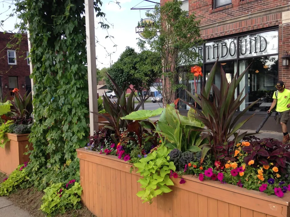 Trusted lawn mowing service near you across Minneapolis, MN - Giving Tree Gardens