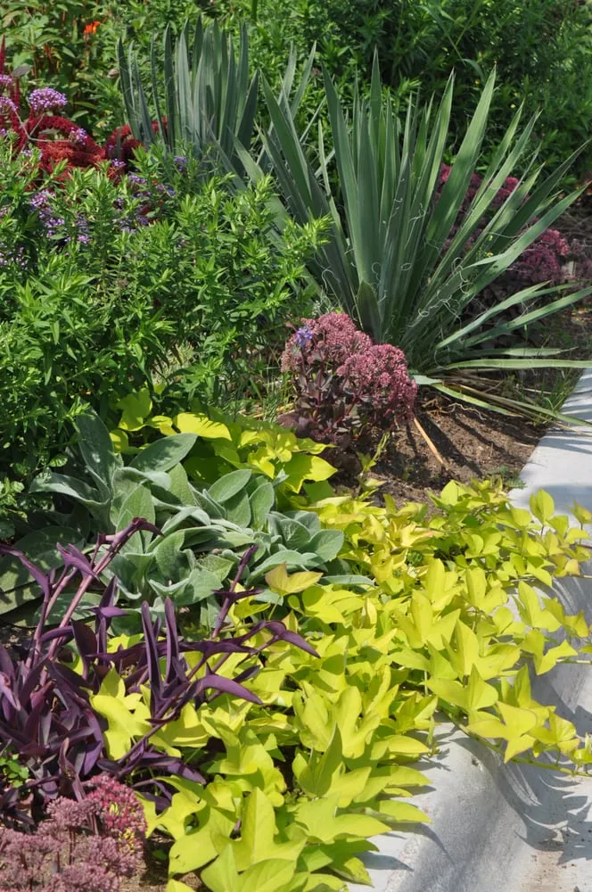 Professional landscaping services in Minneapolis, MN - Giving Tree Gardens