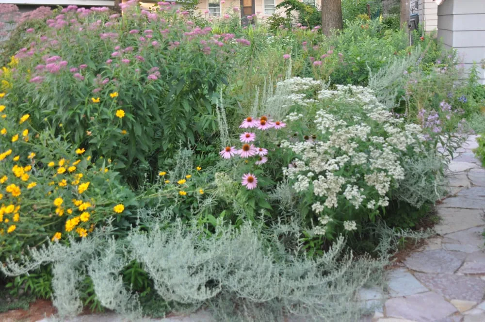 Reliable lawn mowing service for year-round maintenance in Minneapolis, MN by Giving Tree Gardens