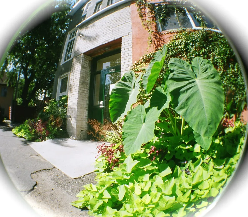 Custom yard maintenance in Minneapolis, MN - Giving Tree Gardens