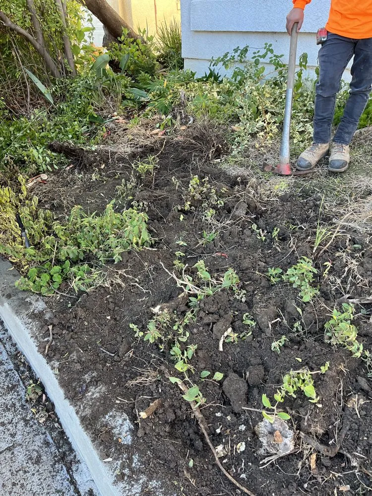 Top-rated outdoor landscaping experts serving Fullerton, CA - GJ & M Landscaping INC