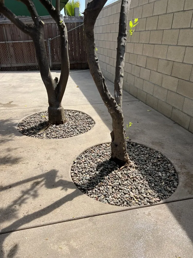 Expert residential landscaping in Fullerton, CA - GJ & M Landscaping INC