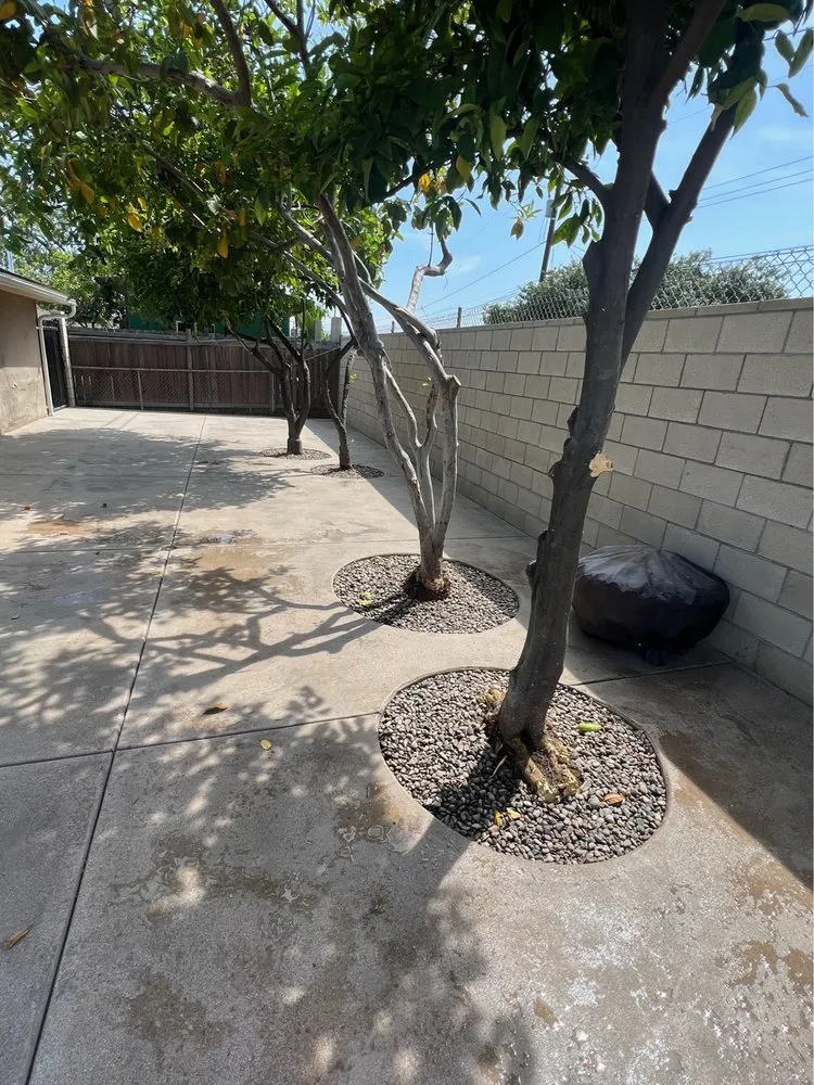 Local outdoor landscaping for year-round maintenance across Fullerton, CA - GJ & M Landscaping INC