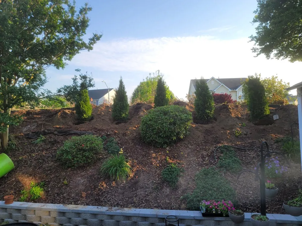 Trusted yard cleanup service for year-round maintenance in Cary, NC by G&J Company