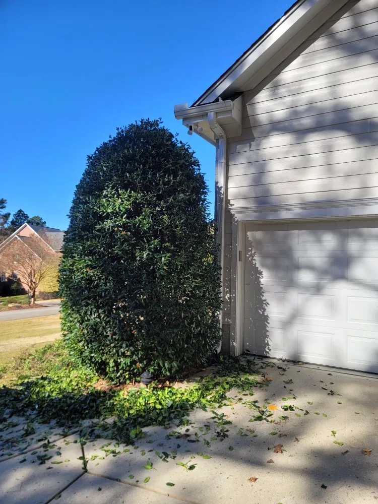 Professional lawn mowing service in Cary, NC - G&J Company