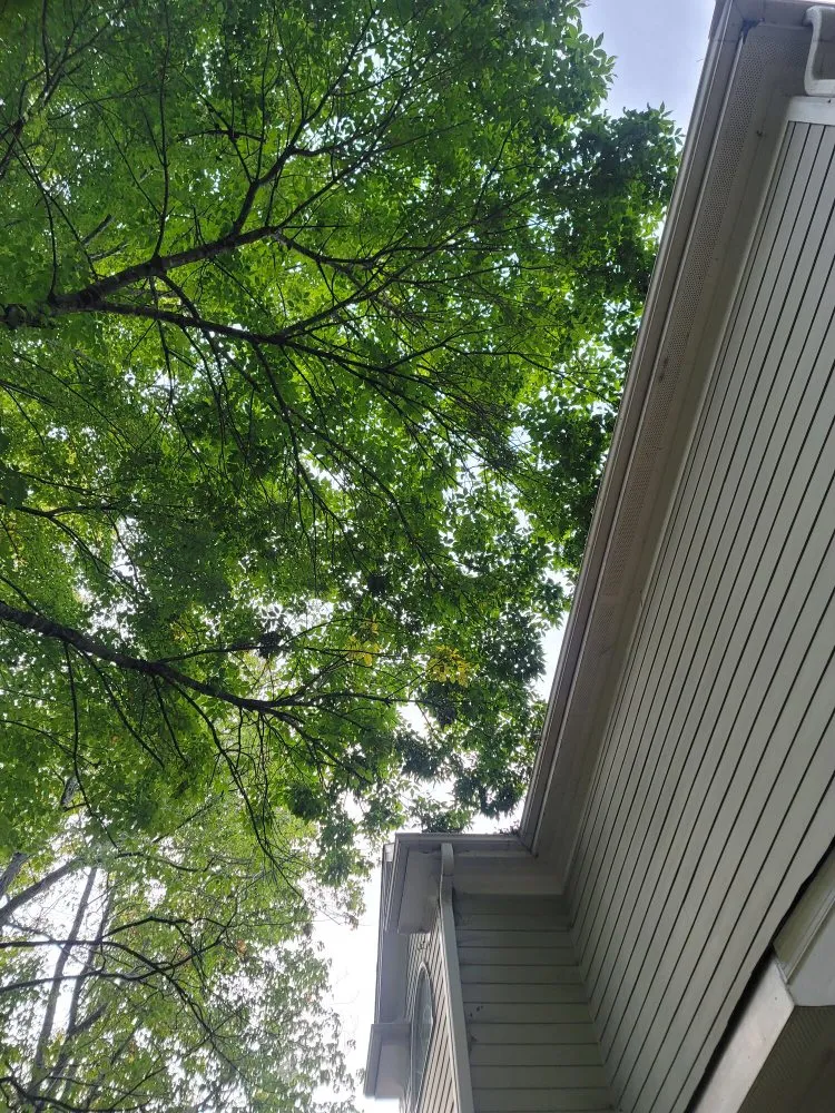 Affordable landscape installation experts serving Cary, NC - G&J Company