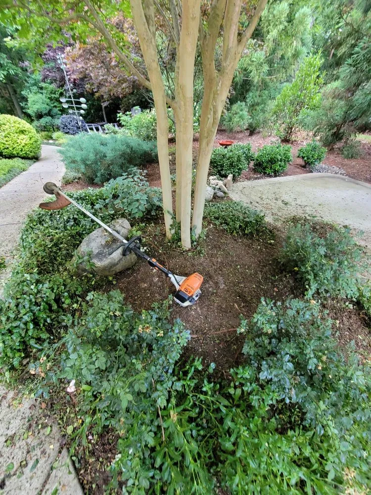 Custom lawn care service for residential properties in Cary, NC by G&J Company