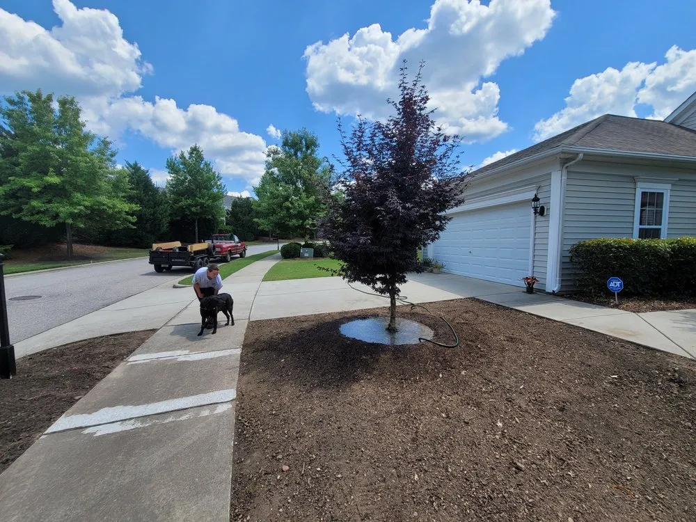 Expert residential landscaping experts serving Cary, NC - G&J Company