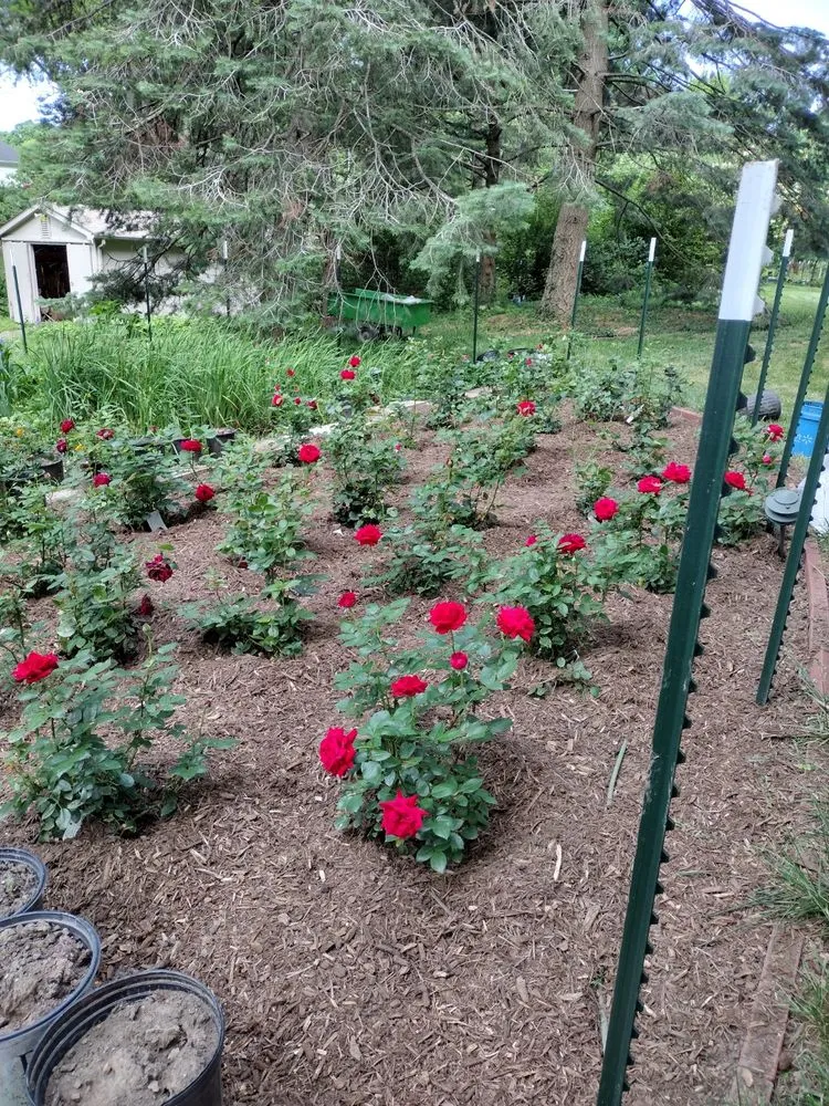 Affordable landscape design experts serving Grandview, IL - G&J Landscapes & Remodels