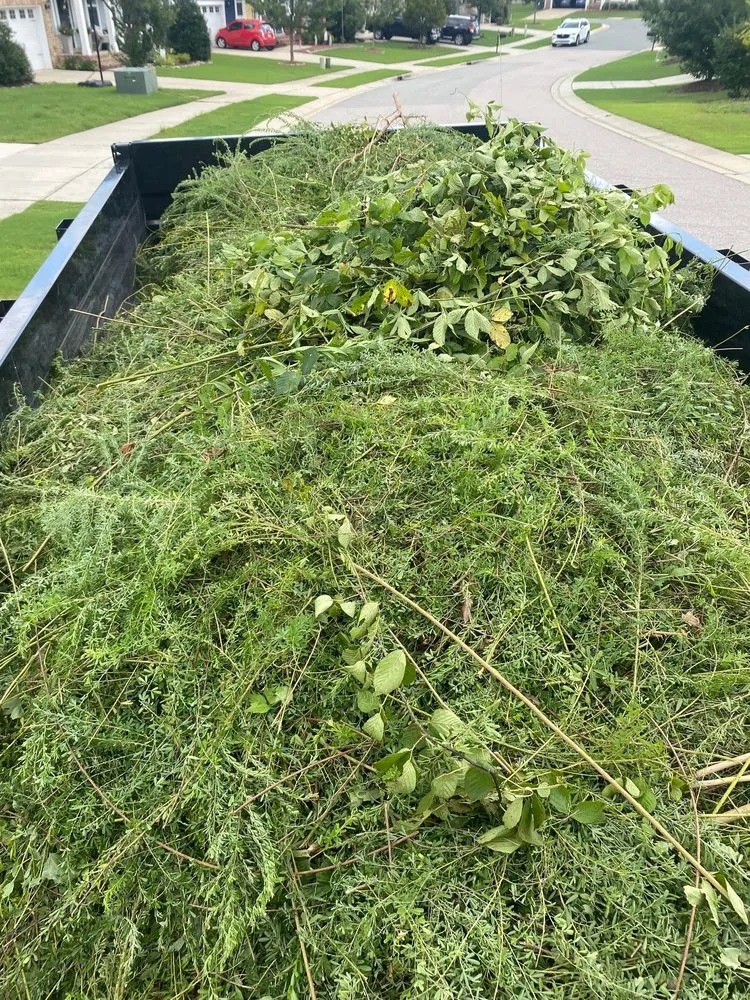 Local yard cleanup service experts serving Sanford, NC - G&J Landscaping