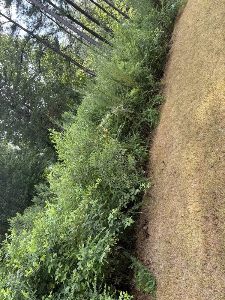 Reliable garden landscaping experts serving Sanford, NC - G&J Landscaping