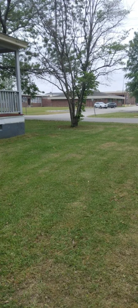 Top-rated landscaping services for outdoor upgrades in Wilson, NC by G&J Lawn Care