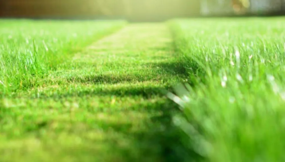 Reliable landscape design for residential properties across Wilson, NC - G&J Lawn Care