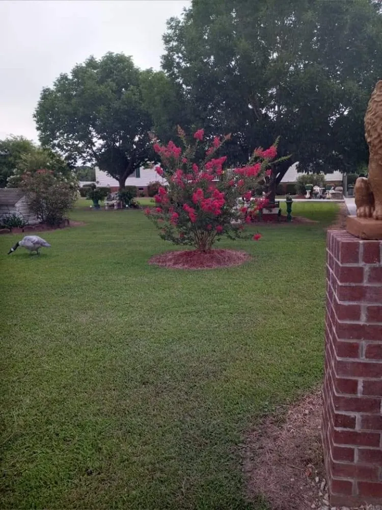 Professional outdoor landscaping in Wilson, NC by G&J Lawn Care