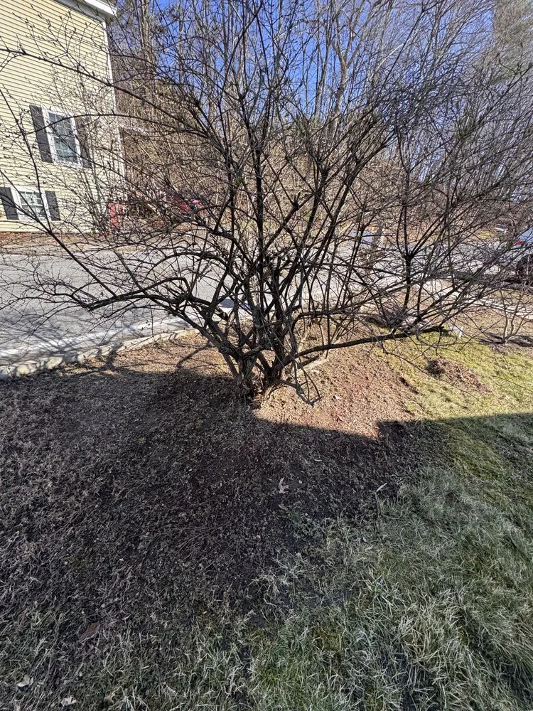 Affordable residential landscaping in Ayer, MA by GJG Landscaping