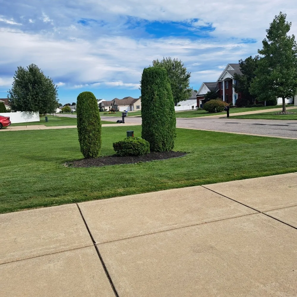 Professional yard maintenance in Niagara Falls, NY by GJ'S Janitorial Services