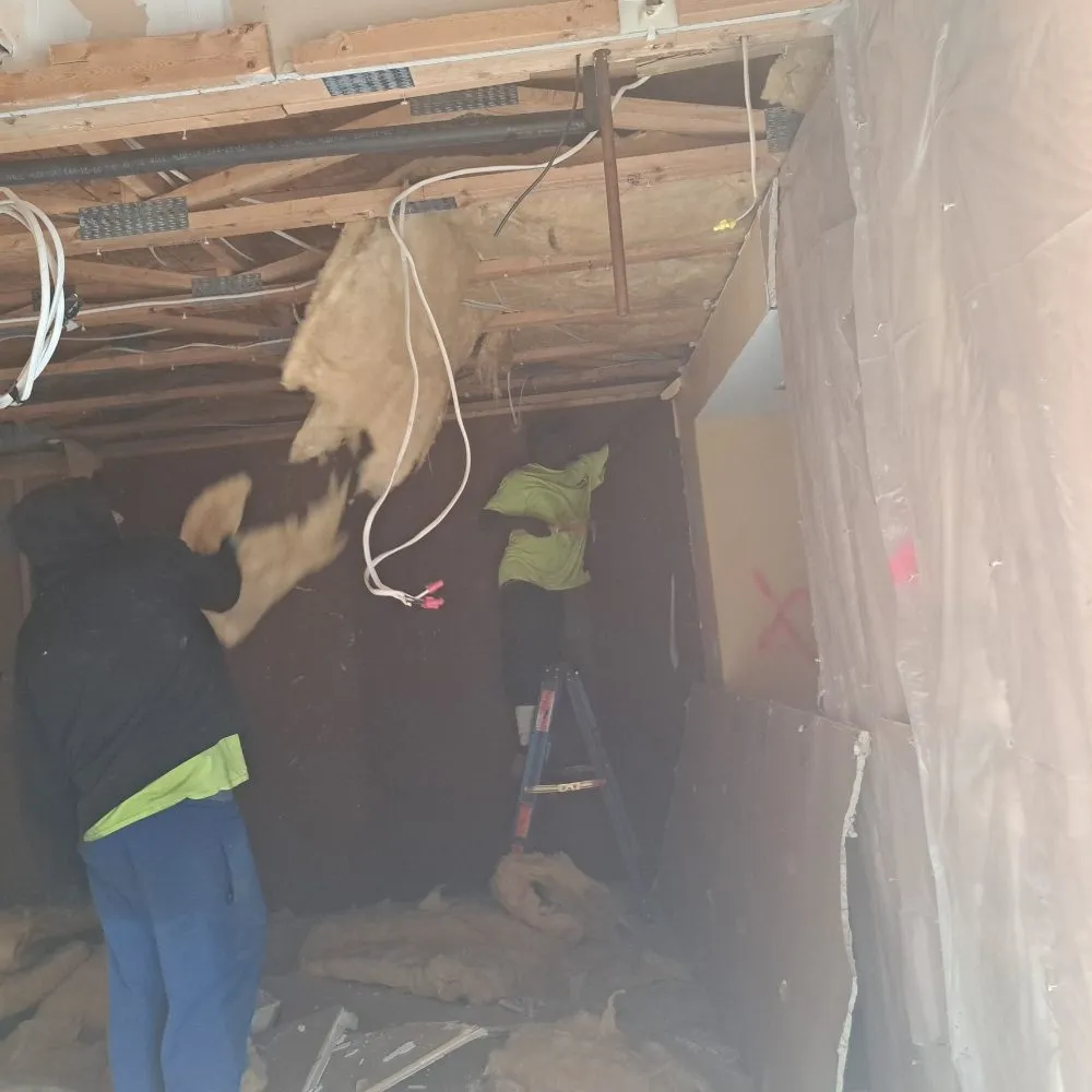 Expert yard maintenance experts serving Niagara Falls, NY - GJ'S Janitorial Services