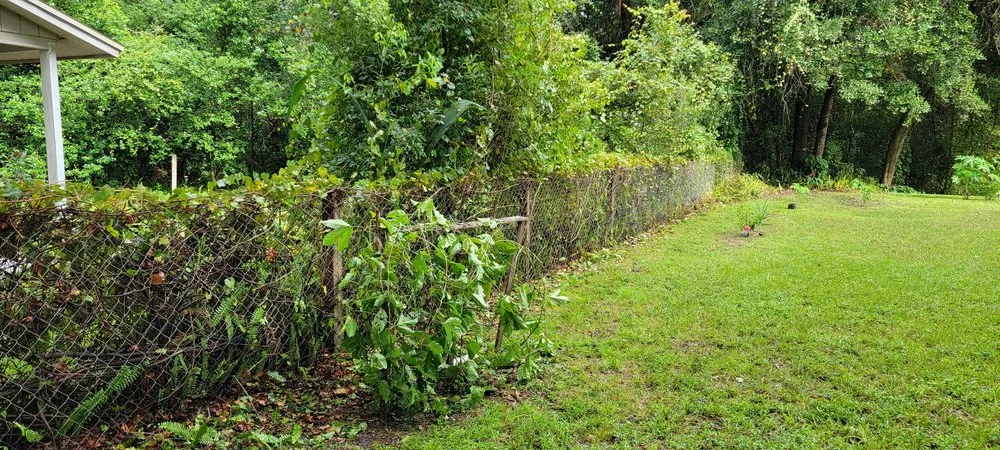 Trusted lawn mowing service in TEMPLE TERR, FL - GJX Landcare