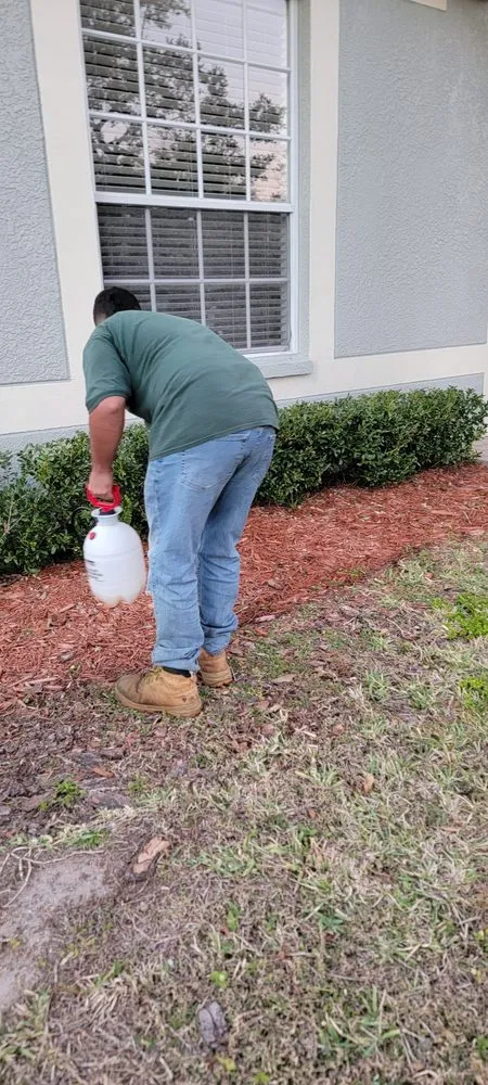 Local lawn care service experts serving TEMPLE TERR, FL - GJX Landcare