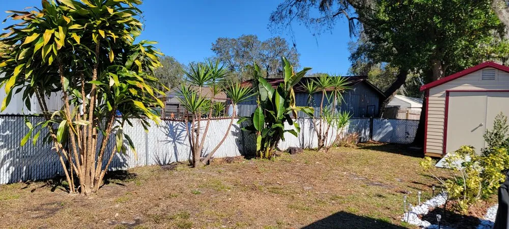 Local yard cleanup service experts serving TEMPLE TERR, FL - GJX Landcare
