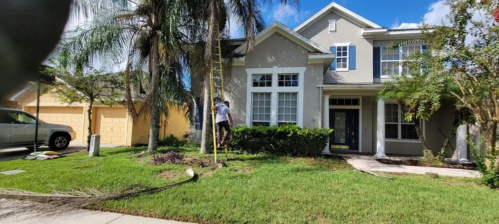 Affordable landscaping services in TEMPLE TERR, FL - GJX Landcare