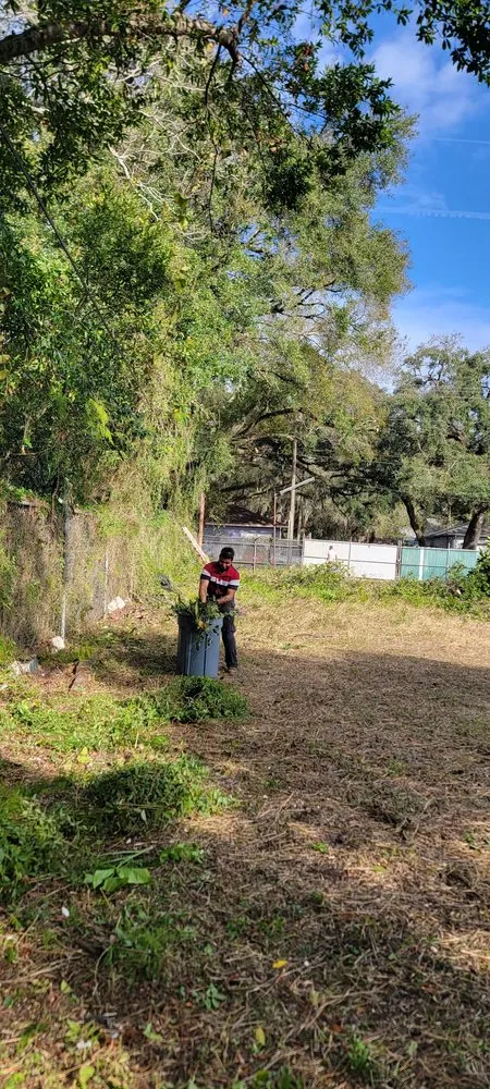 Professional lawn care service for homes across TEMPLE TERR, FL - GJX Landcare