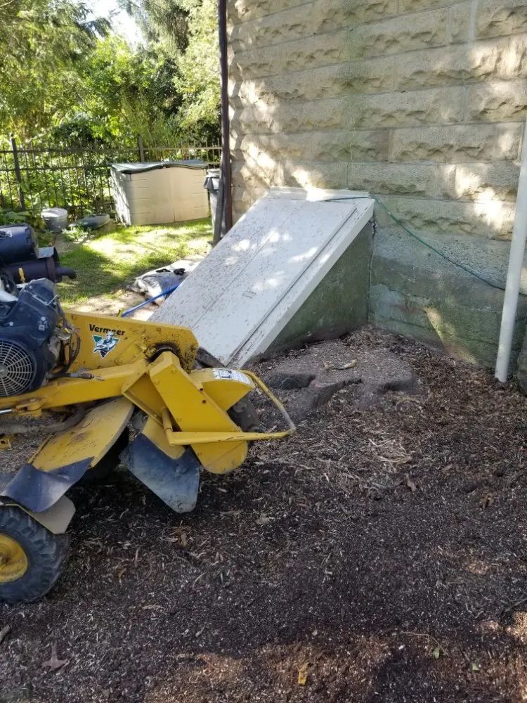 Professional landscaping services experts serving Allentown, PA - G&K Landscaping And Tree service