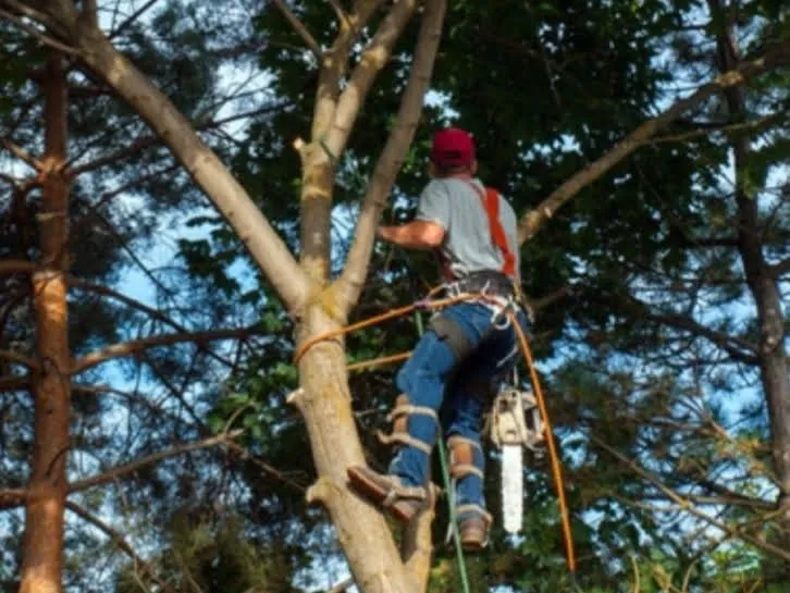 Trusted landscape installation in Allentown, PA by G&K Landscaping And Tree service