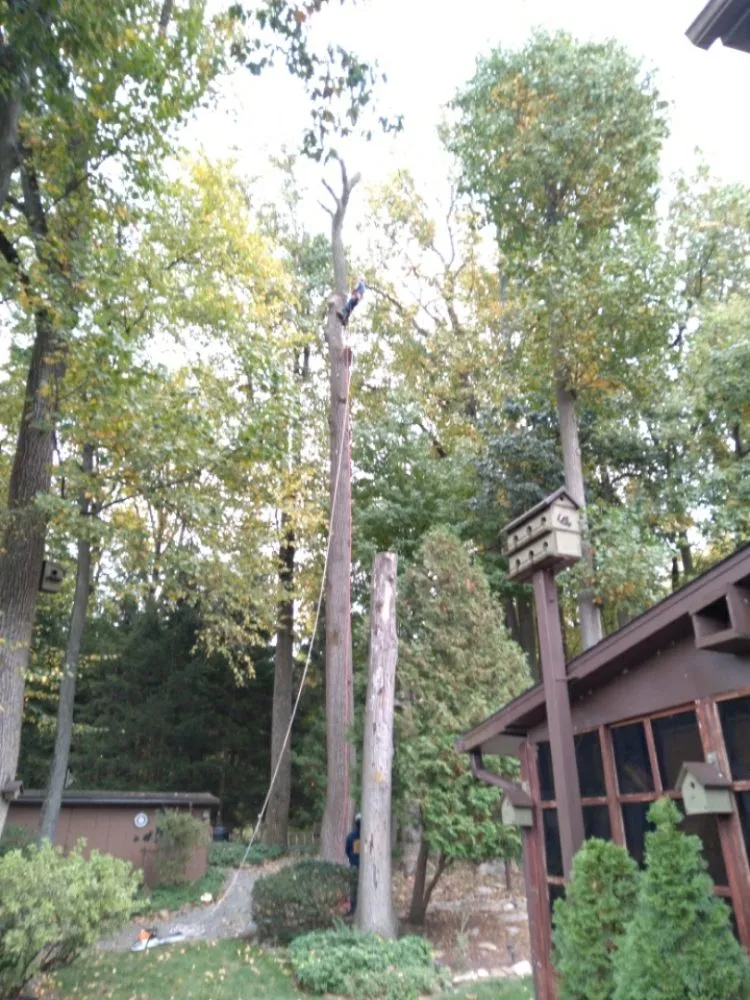 Trusted lawn care service for homes across Allentown, PA - G&K Landscaping And Tree service