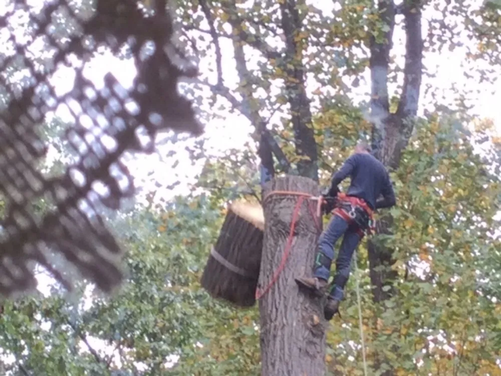 Affordable lawn mowing service in Allentown, PA by G&K Landscaping And Tree service