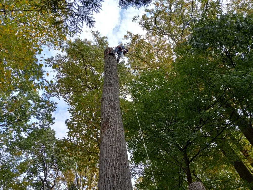 Local outdoor landscaping experts serving Allentown, PA - G&K Landscaping And Tree service