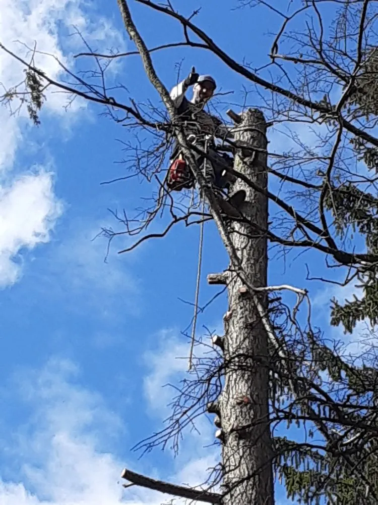 Trusted residential landscaping for year-round maintenance in Allentown, PA by G&K Landscaping And Tree service