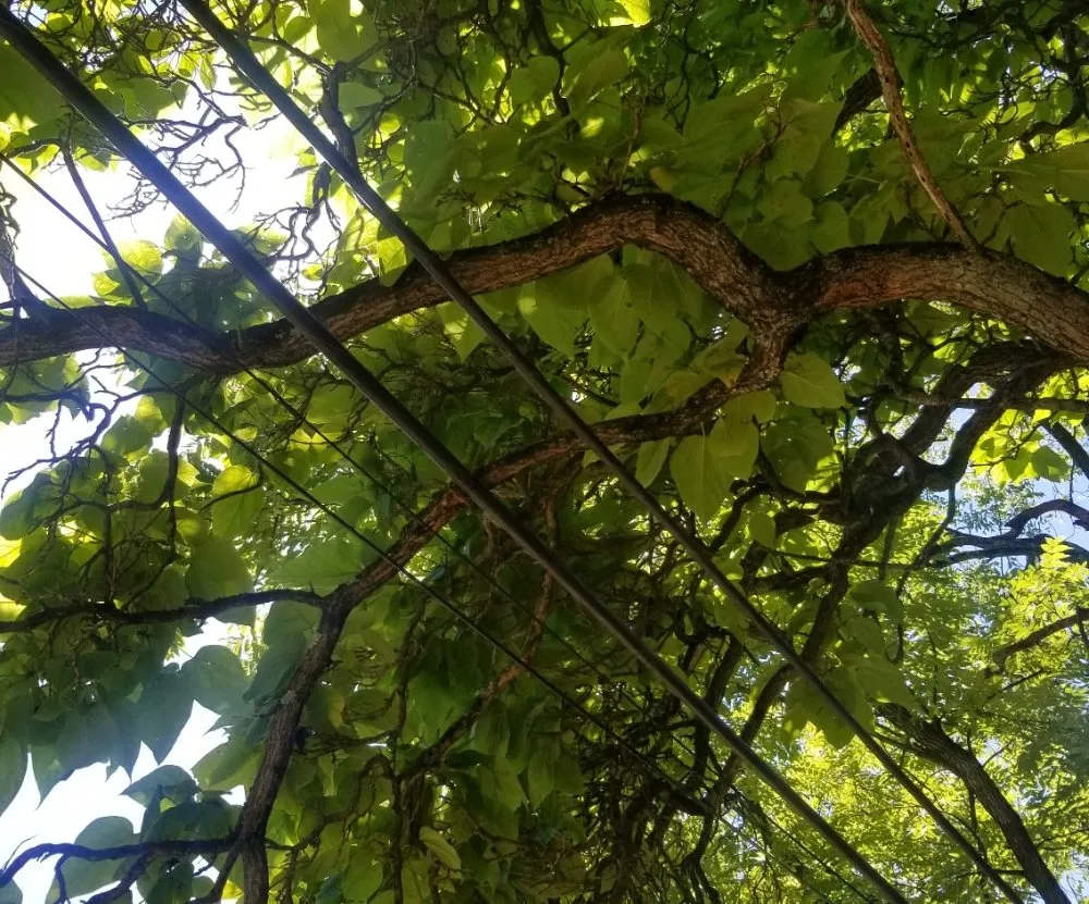 Local yard maintenance with custom design across Allentown, PA - G&K Landscaping And Tree service