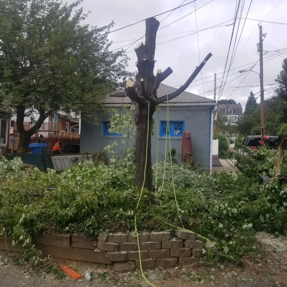 Local garden landscaping in Allentown, PA by G&K Landscaping And Tree service