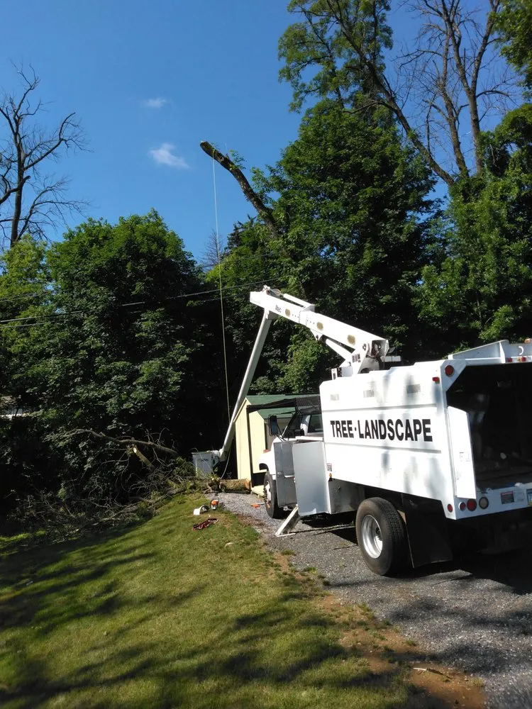 Top-rated landscaping services for beautiful yards across Allentown, PA - G&K Landscaping And Tree service