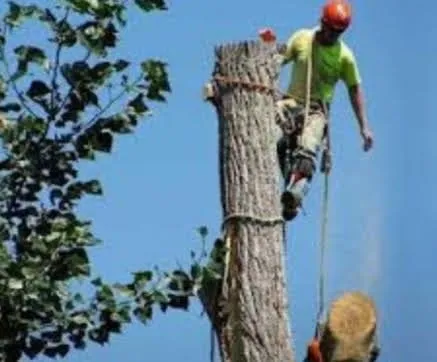 Professional landscape design in Allentown, PA by G&K Landscaping And Tree service