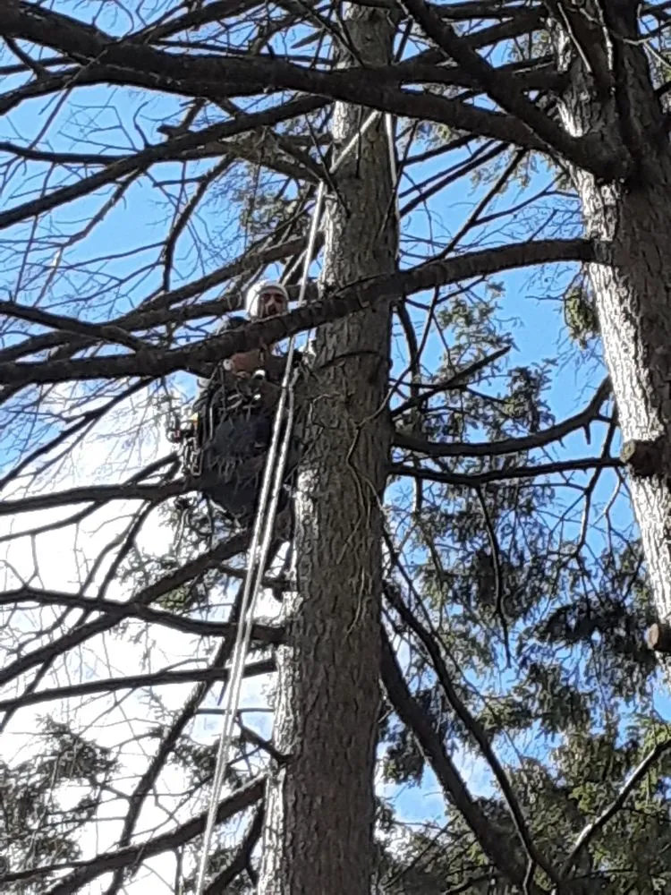 Expert outdoor landscaping in Allentown, PA - G&K Landscaping And Tree service