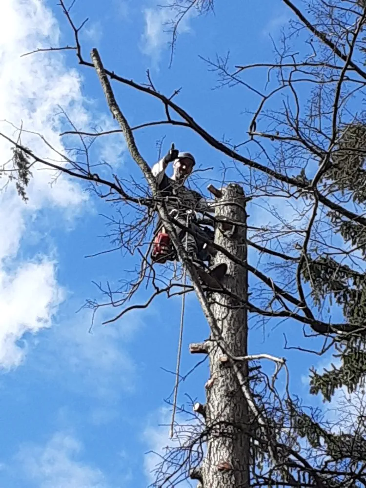 Trusted garden landscaping experts serving Allentown, PA - G&K Landscaping And Tree service