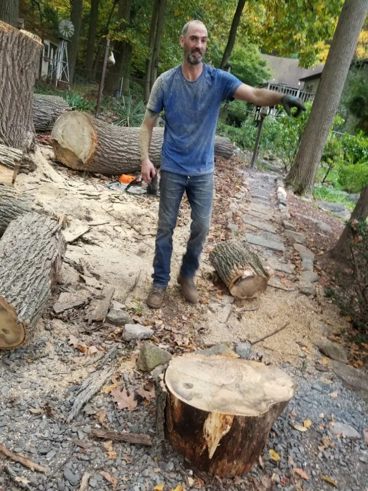 Top-rated lawn care service in Allentown, PA - G&K Landscaping And Tree service