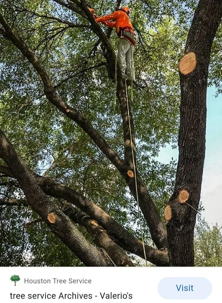 Affordable landscape installation for year-round maintenance in Allentown, PA by G&K Landscaping And Tree service