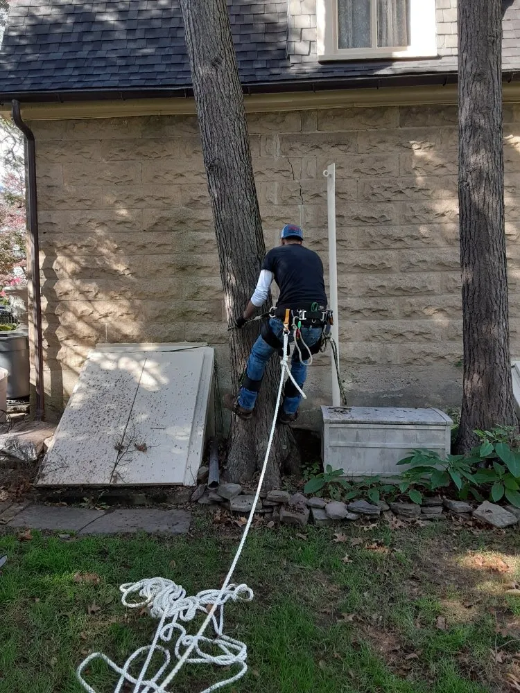 Local lawn mowing service in Allentown, PA - G&K Landscaping And Tree service