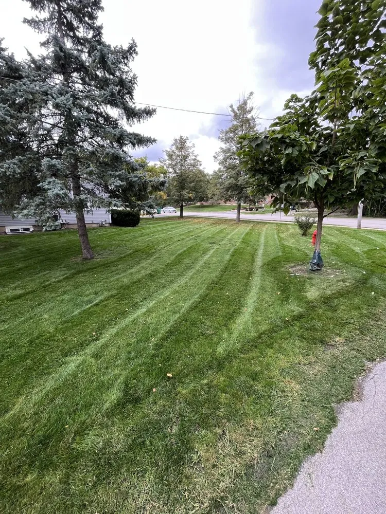 Professional outdoor landscaping in Lemont, IL by G&K Powerwashing and Lawn Services