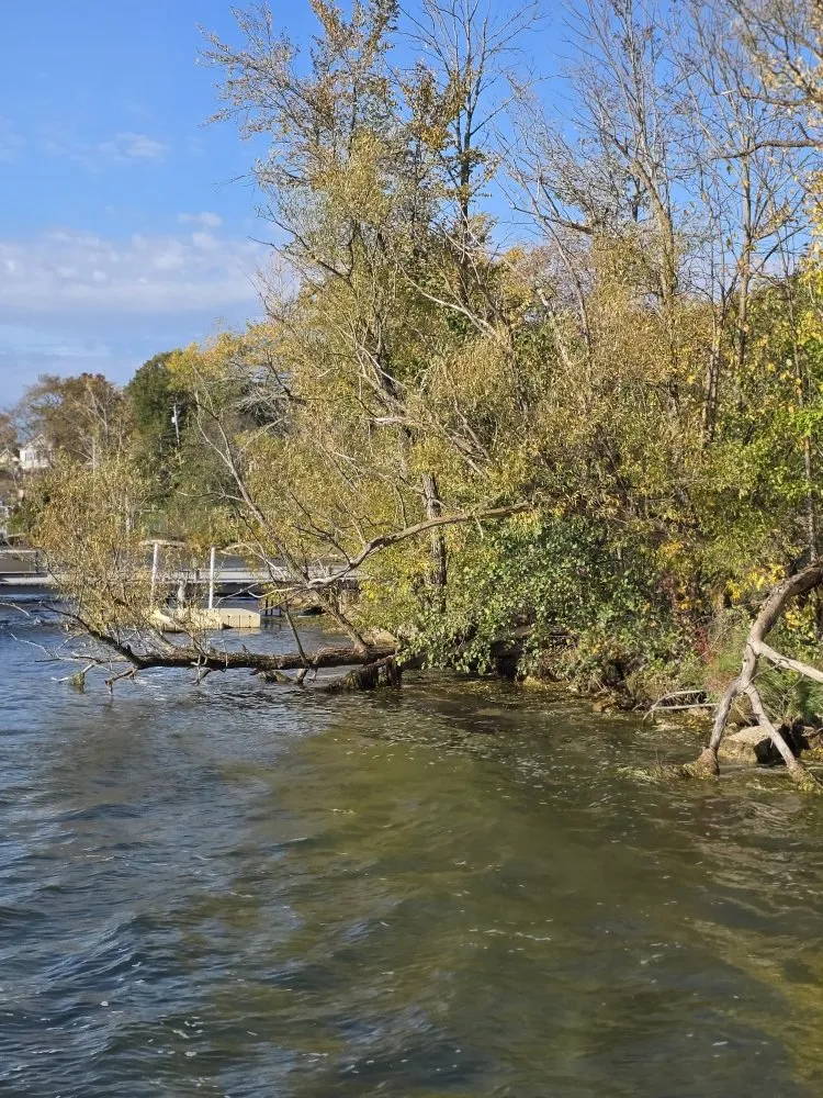 Reliable lawn care service near you across Grand Island, NY - GK Property Maintenance