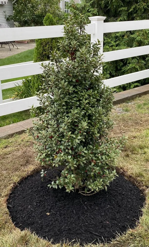 Trusted lawn mowing service in South Amboy, NJ - GKB Landscaping