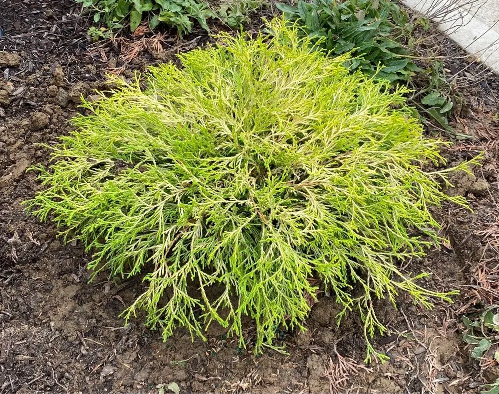 Affordable outdoor landscaping near you in South Amboy, NJ by GKB Landscaping